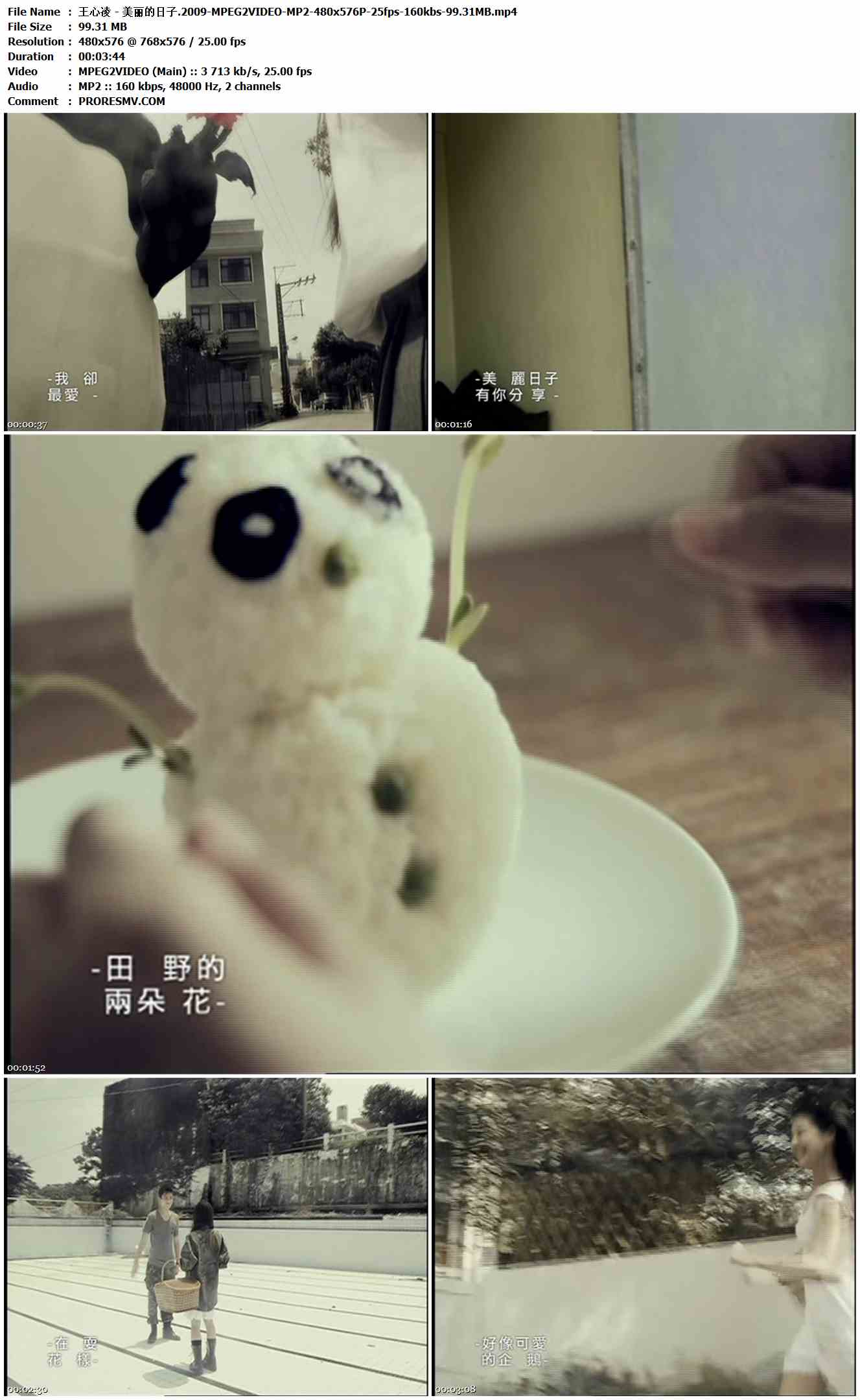 王心凌 - 美丽的日子.2009-MPEG2VIDEO-MP2-480x576P-25fps-160kbs-99.31MB官方MV_高清MV